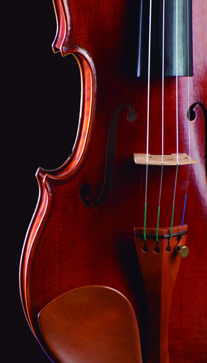 Detalle de un violín: cuerdas, puente y efes